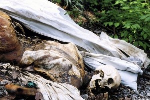 Handout photo shows a corpse lying on the ground at the University of Tennesse's Forensic Anthropology Research Facility, also known as the "Body Farm"